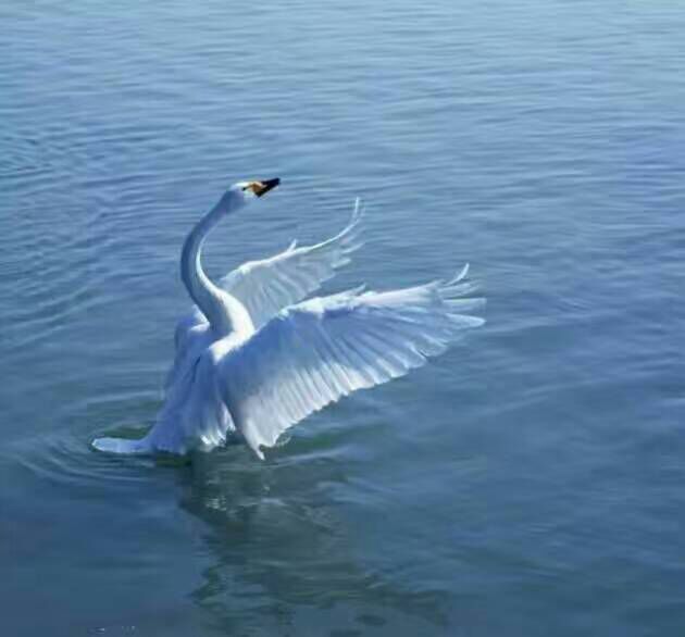 看完这些摄影作品点评，你的摄影技能会有大幅提升