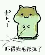 头发一梳掉一大把是什么原因,做梦头发一摸掉一大把是啥意思