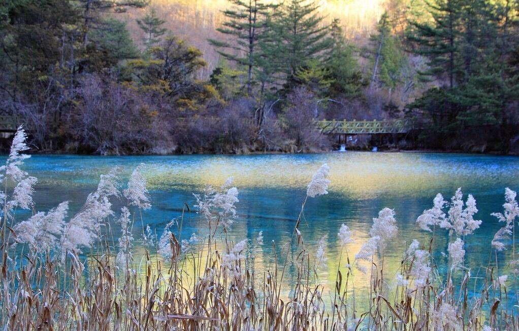 春节旅游九寨沟人多吗,春节自驾九寨沟危险吗