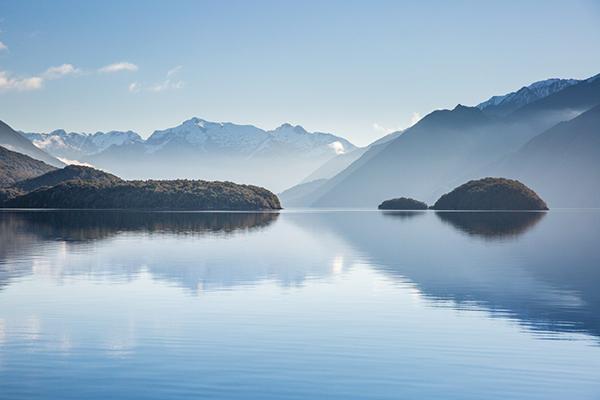 新西兰特色动物有哪些,新西兰奇异动物有哪些