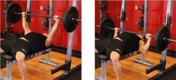 男人增臀肌训练动作,男人练腰部训练动作