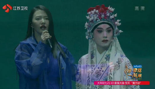 江苏卫视春晚点评,收视率第一名江苏卫视