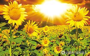 “意淫”未来的世界、未来的人