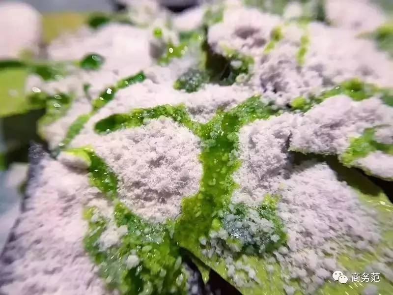 买买买都不能让自己开心,从什么时候开始买买买都不开心了