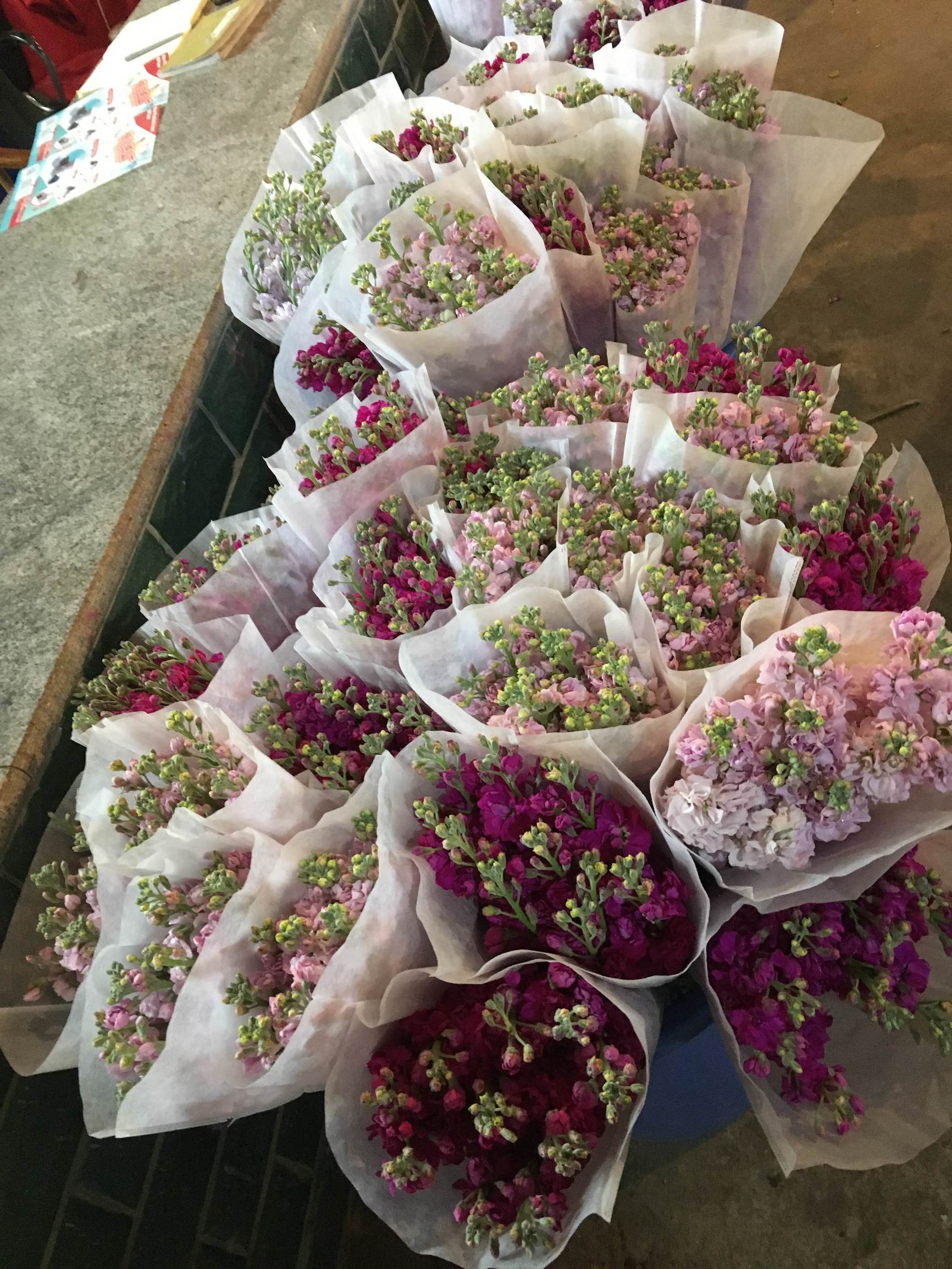 年宵花市探“鲜”记(一)之孤独的花大姐