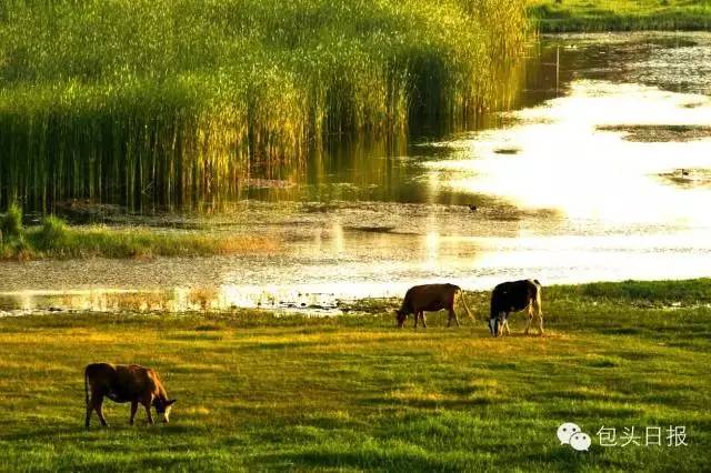 「关注」初一出门必看！过年去哪嗨26个字母带您玩遍包头好玩处！过年啦，带家人朋友逛起来！