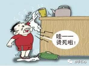 厨房养生小常识大全,厨房急救小常识