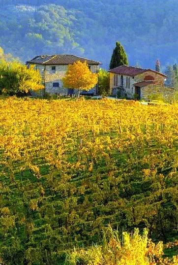 古诗最美田园诗,诗词美句