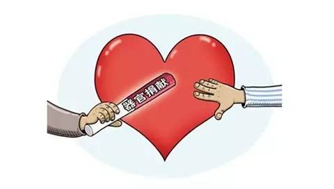 个税改革方案、捐献器官、微信小程序……本周热词总结,1.8-14