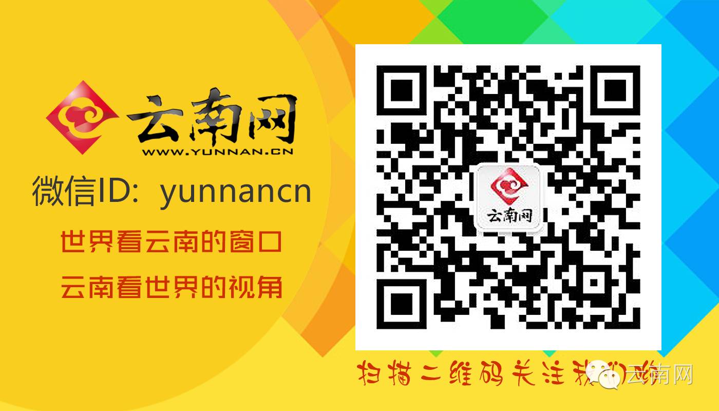 昆明共享9.9元电动车,昆明共享电动车收费标准