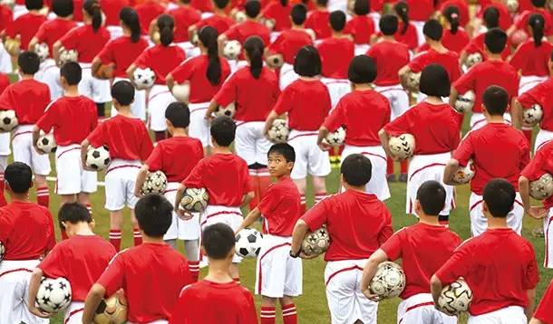 体育总局足球整治,体育总局振兴三大球