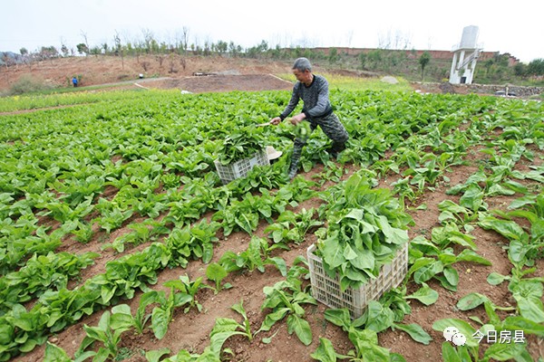 教育我们与孩子共同成长,教育路上我们一起努力