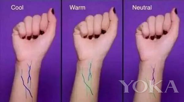 杨幂有1000多支大牌口红,杨幂收藏几百只口红