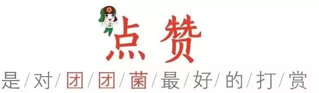 近10年春晚最好的一届,今年春晚都有哪些看点