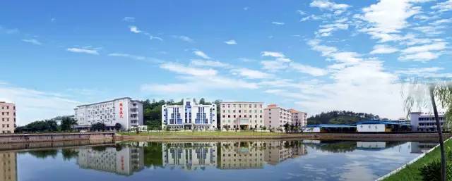 这个二愣子总裁和鸡睡了20年，还把一家鸡场干到了2000亿，全球的鸡都得管他叫爸爸！