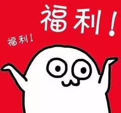 哈市23年春节公交车安排,哈市春节公交调整