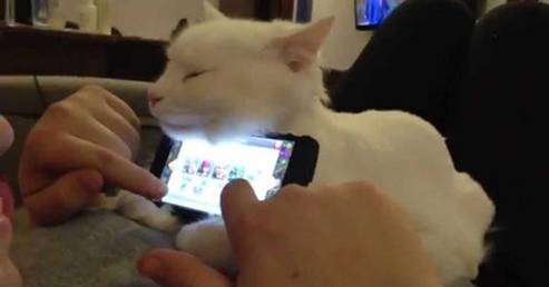 除夕夜抢红包攻略,除夕抢红包怎么才能抢到