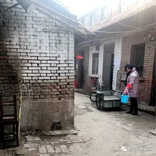 院长大搞翻新改造工程,院长翻天覆地的生活