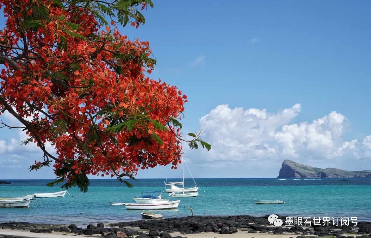 毛里求斯幸福的天堂完整版,天堂的故乡毛里求斯