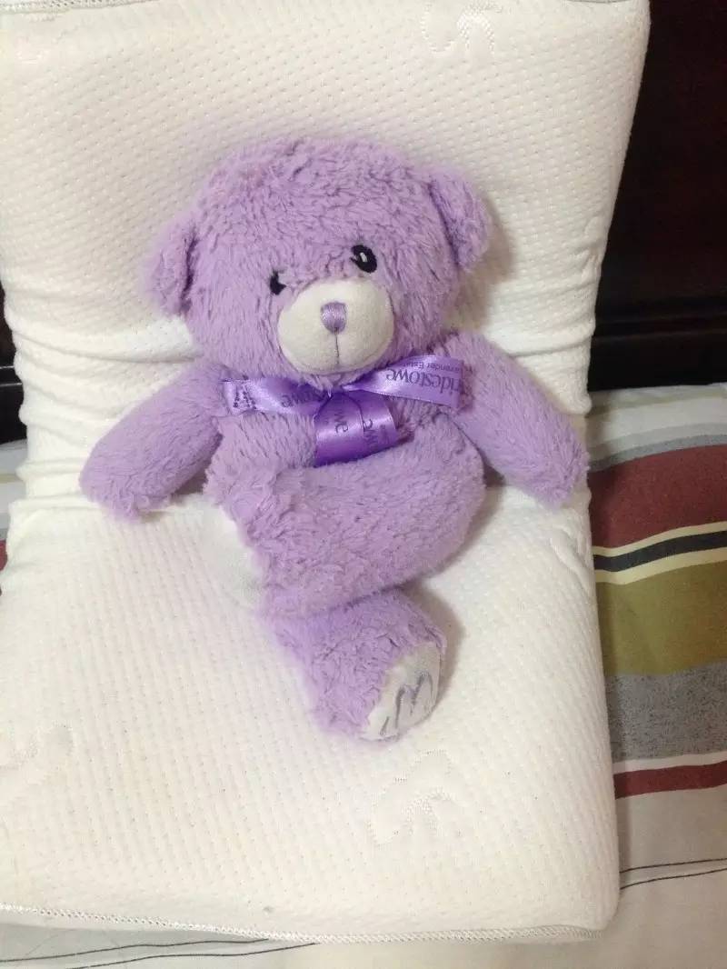 薰衣草小熊,薰衣草小熊是什么