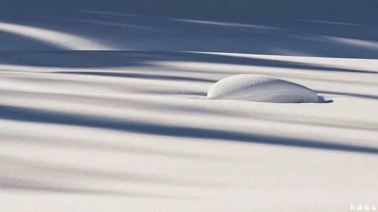 最新喀纳斯禾木视频,新疆喀纳斯禾木冬天视频