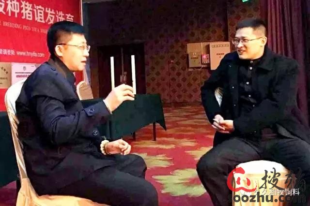 初闻沈念,初闻林夕