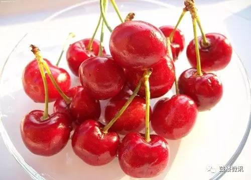 百香果都有哪些你不知道的功效,白果功效