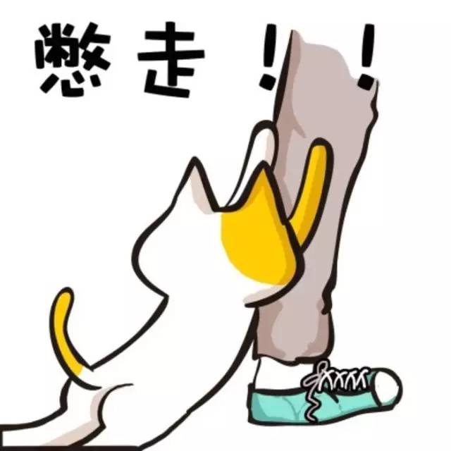 三姑六婆职业,三姑六婆怎样解释