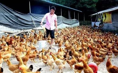 湖南h7n9禽流感病例,湖南治愈了多少例