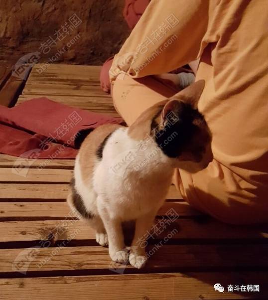 韩国汗蒸需要准备什么,韩国汗蒸的地方叫什么