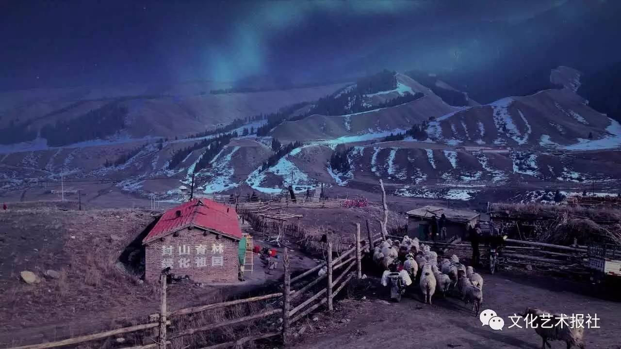 电影血狼犬中的犬,血狼犬护主电影