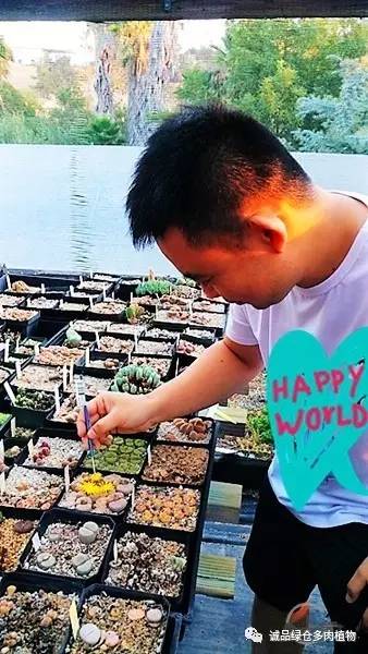 vista观天下春节旅游,vista看天下冰雪大世界