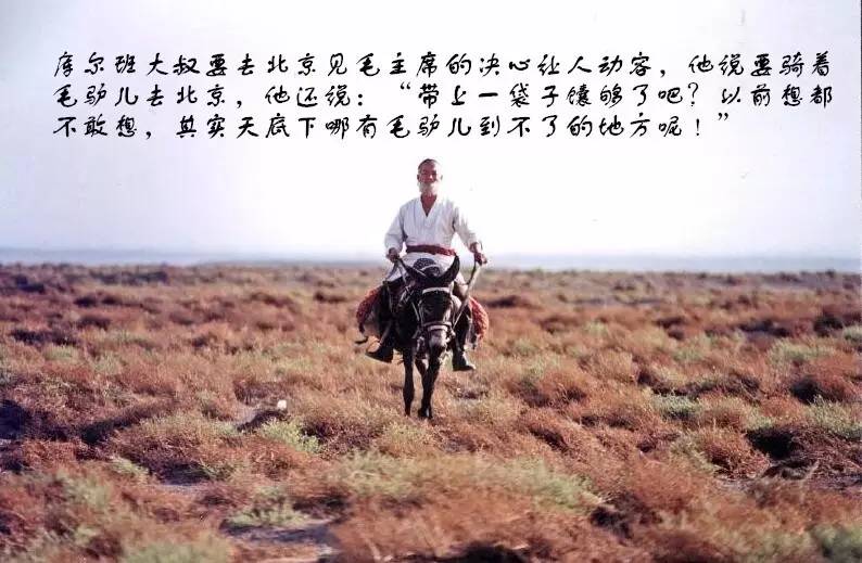 库尔班大叔上北京,库尔班大叔真的骑毛驴到北京了吗