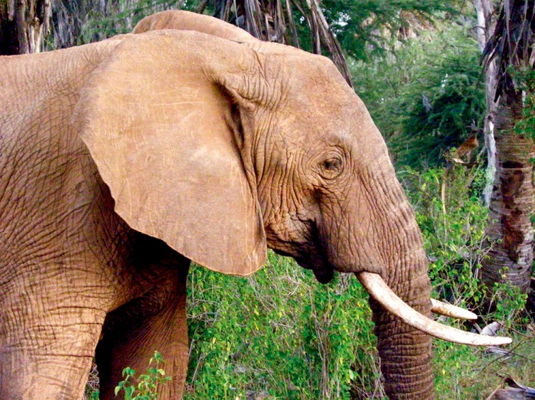 西双版纳3小时可以去哪,西双版纳五小时