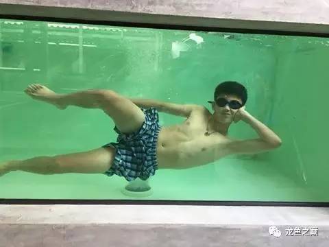 被龙鱼驱赶，哭！