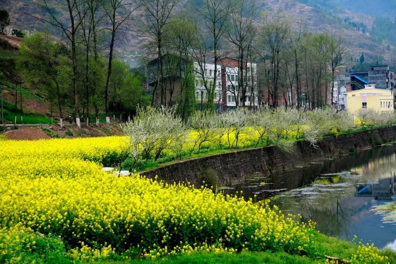 中国最粗壮的石柱,中国最粗壮的天然石柱