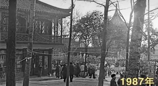 秦淮灯会有哪些看点值得你来,第35届秦淮灯会璀璨亮灯