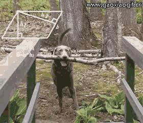 同学聚会十条笑话,同学聚会炫富攀比笑话