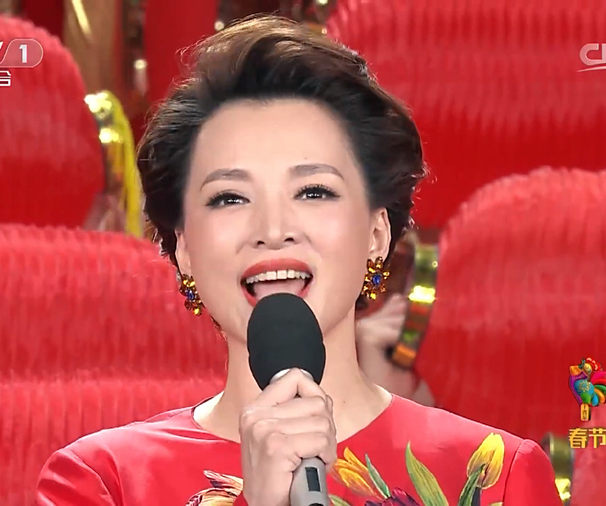 董卿春晚口红是什么色号,董卿2017年春晚口红色号