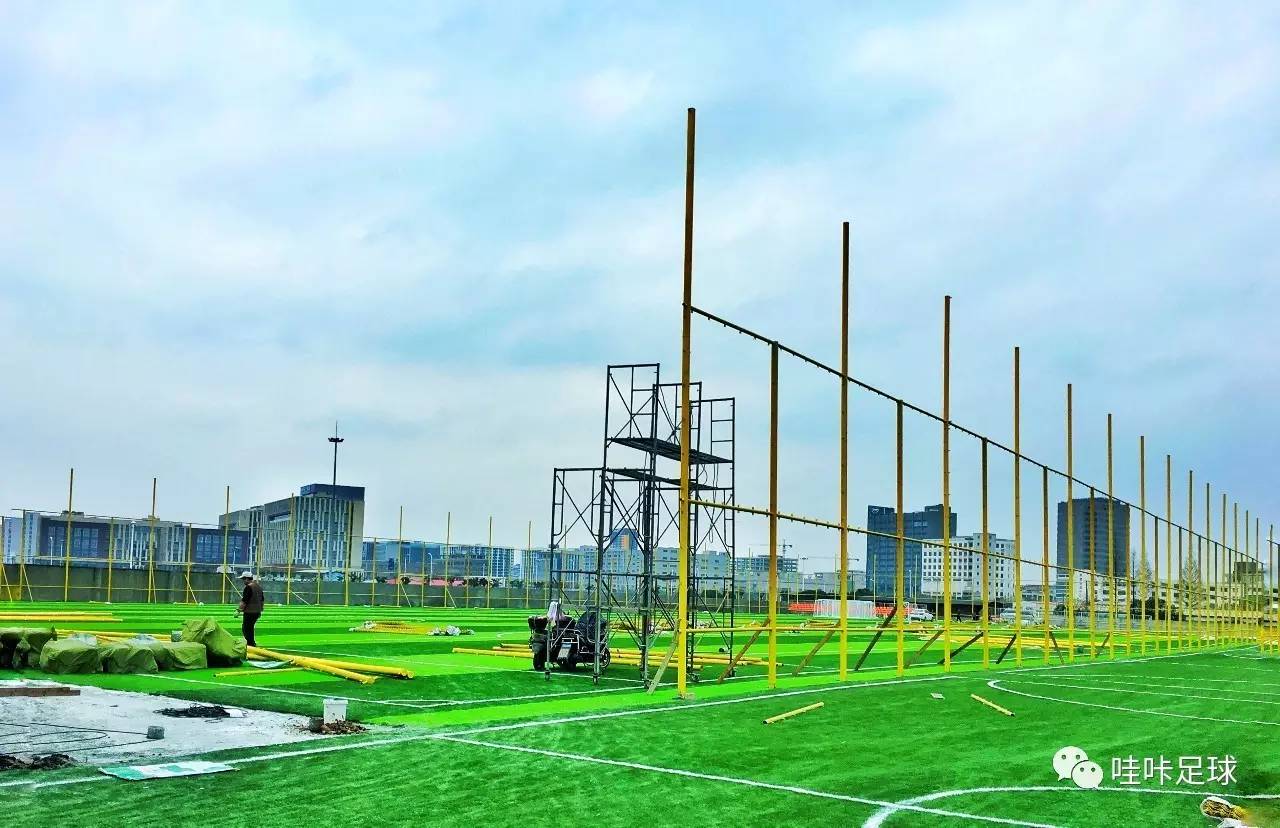 你所不知道的薇尔莉特,最有希望的女子足球队