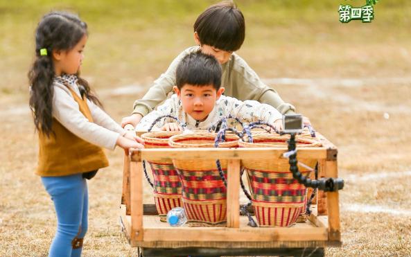 为什么那么多人喜欢tfboys,为什么那么多00后喜欢tfboys