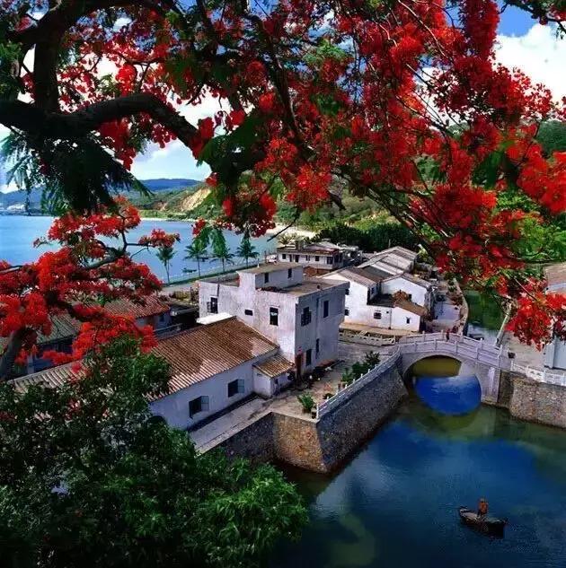 大江阳d区,大江阳