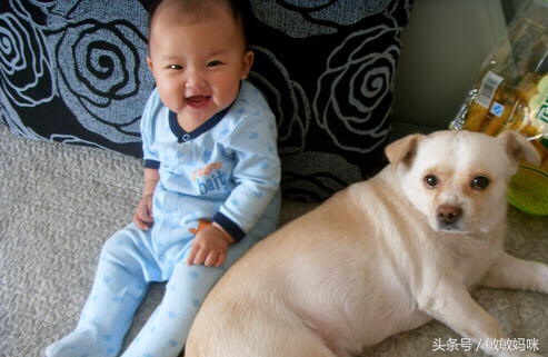 宝宝臀纹或大腿皮纹不对称怎么办,宝宝臀纹腿纹