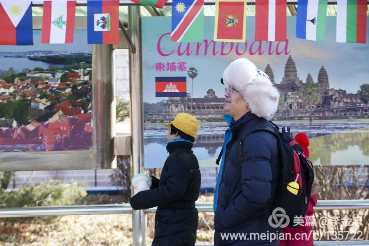 北京庙会排名一览表,北京莲花池公园庙会