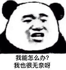 你问题好多怎么回复,你怎么这么多问题表情包