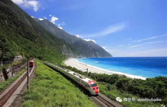 台湾寻肉之旅：小玲带你逛春节的台北花市！