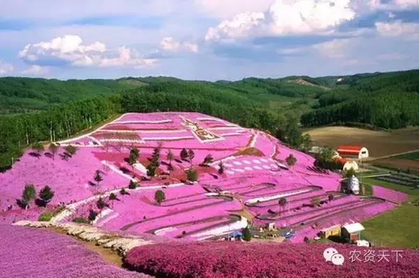 日本:一家一户的小农化也能实现机械化