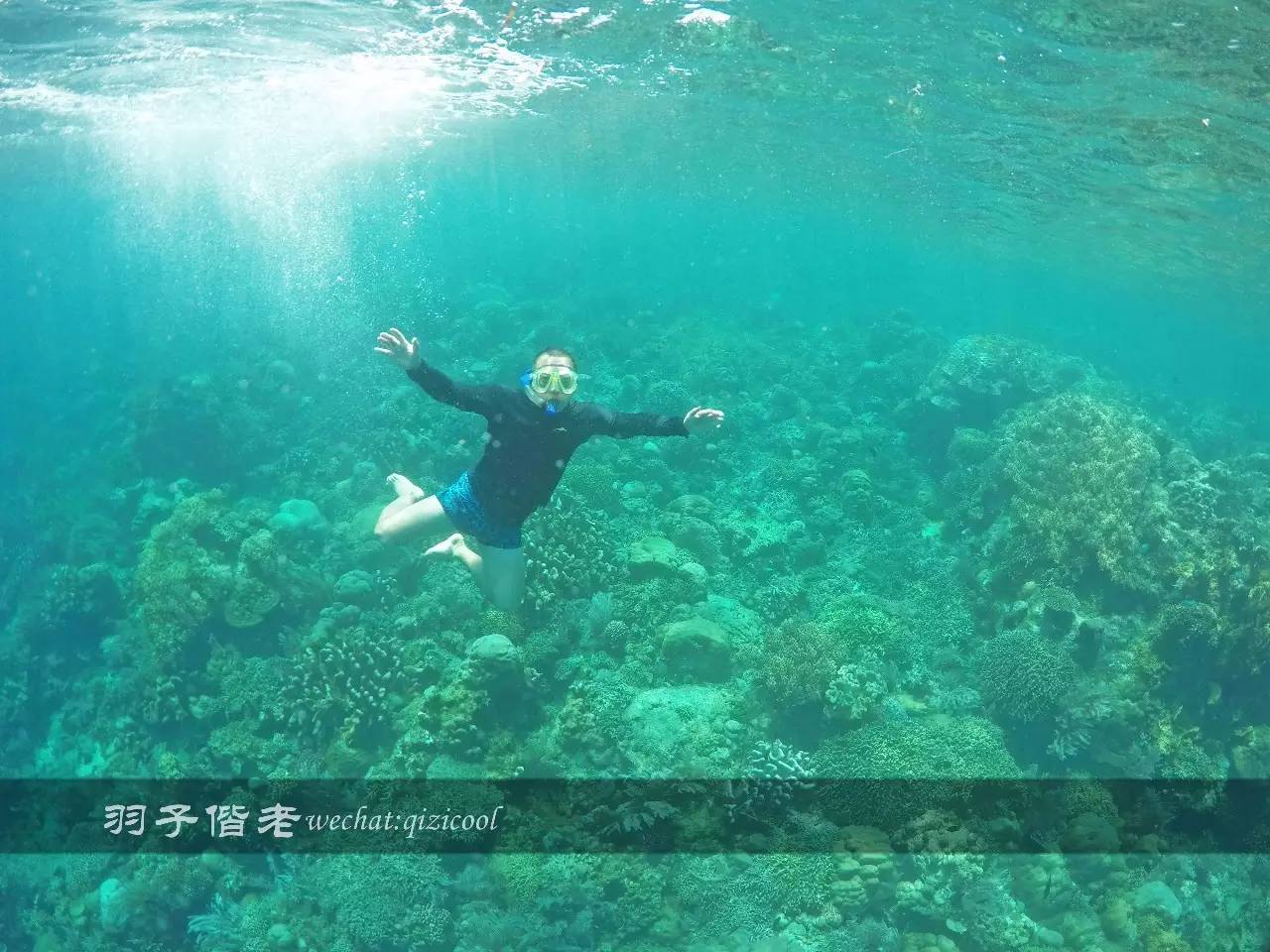 美娜多海岛一日游,印尼美娜多跟团游