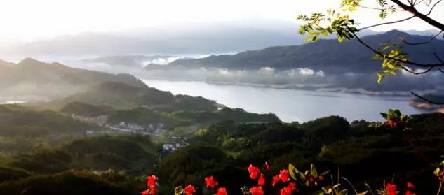 春风里，大爱罗田！