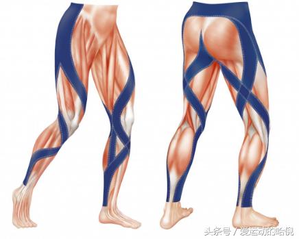 哪个牌子的运动紧身裤最好穿,运动裤小白裤